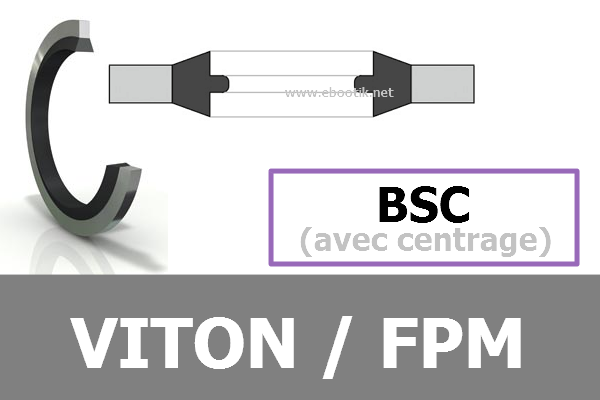 BAGUE BSC 48.44x58.60x3.25 / 033 FPM/Viton