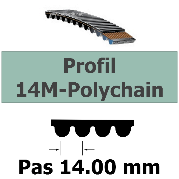 COURROIE CRANTEE 14M-PC2-994/37 mm POLYCHAIN