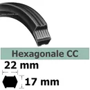 COURROIE HEXAGONALE CC85 / LARGEUR 22 mm
