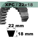 11780019-XPC5600