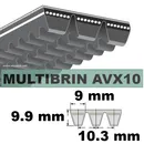 110290006-2xAVX10x1550