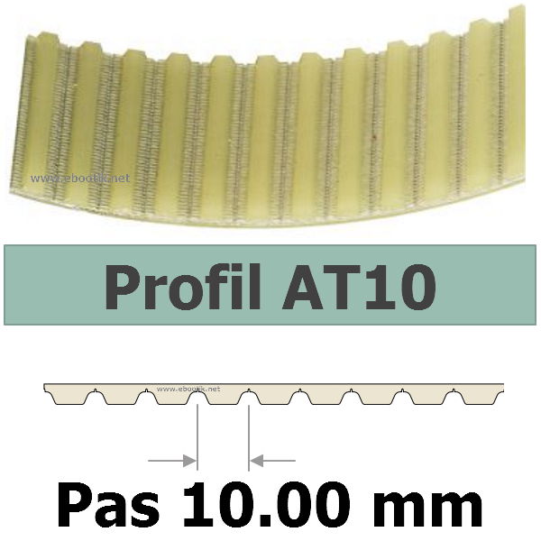 COURROIE CRANTEE 610AT10/1 mm