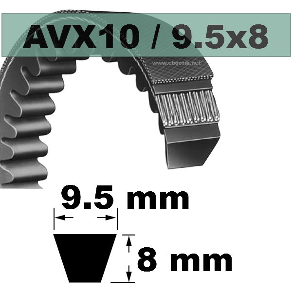 COURROIE AVX10x735 mm La/Le