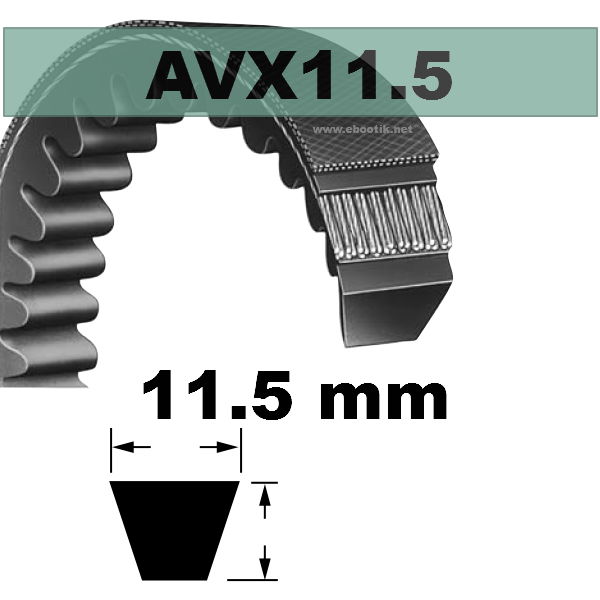 COURROIE AVX11,5x730 mm La/Le