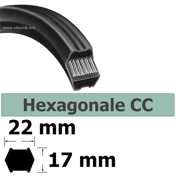 COURROIE HEXAGONALE CC106 / LARGEUR 22 mm