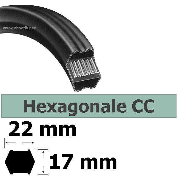 COURROIE HEXAGONALE CC94 / LARGEUR 22 mm