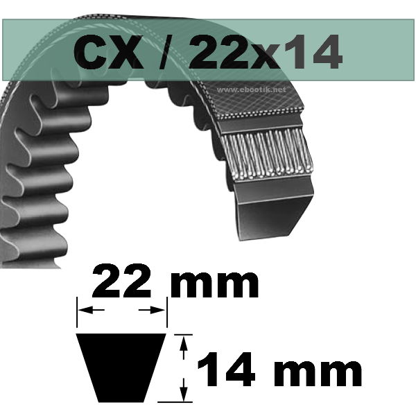 COURROIE TRAPEZOIDALE CRANTEE CX45