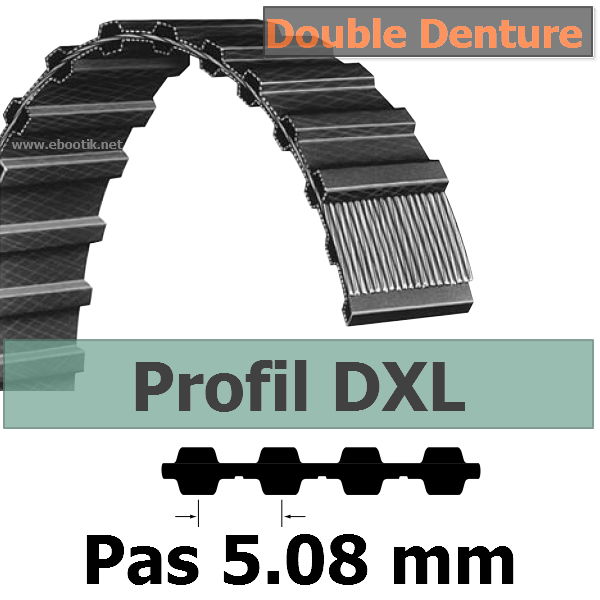 260XL037 DOUBLE DENTURE LARGEUR 9.52 mm