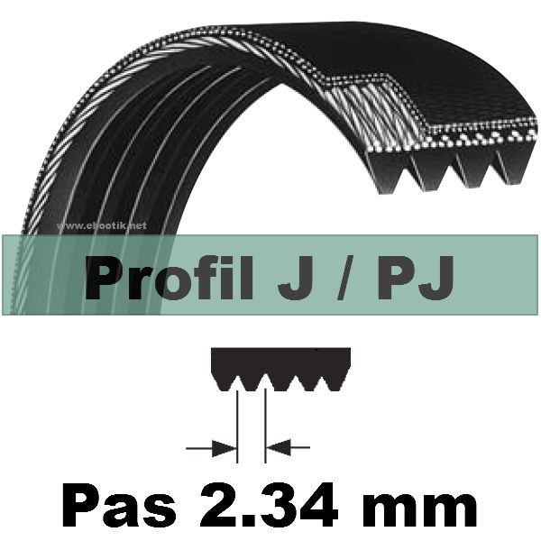 COURROIE STRIEE 362PJ8 DENTS / code RMA 143J