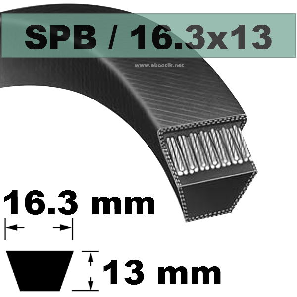 COURROIE SPB1250