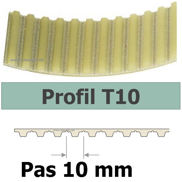 COURROIE CRANTEE 450T10/25 mm