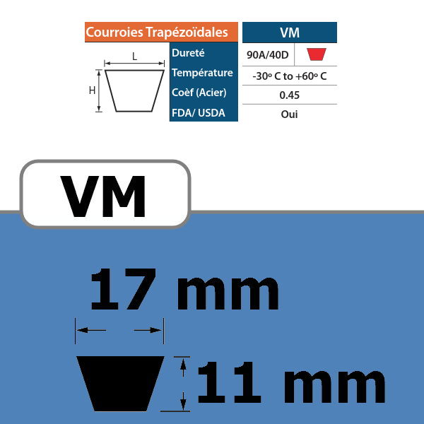 111360022-COURROIE TRAPEZOIDALE VM17+SG