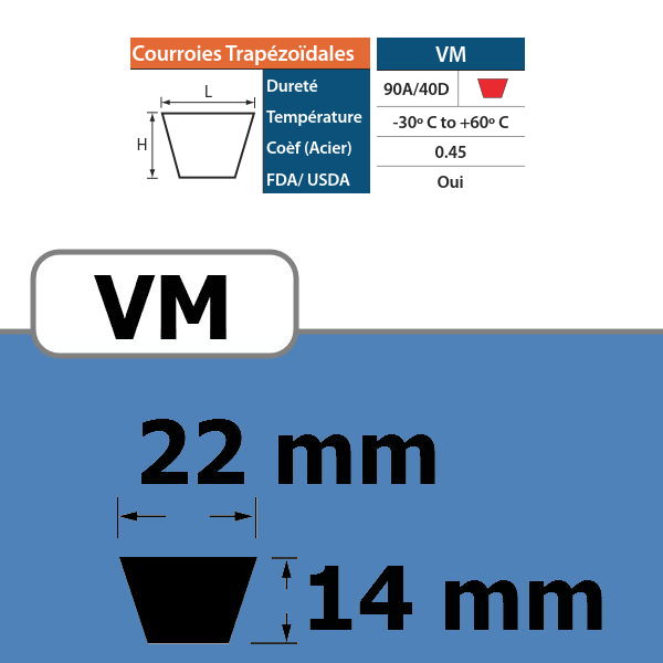 111360024-COURROIE TRAPEZOIDALE VM22