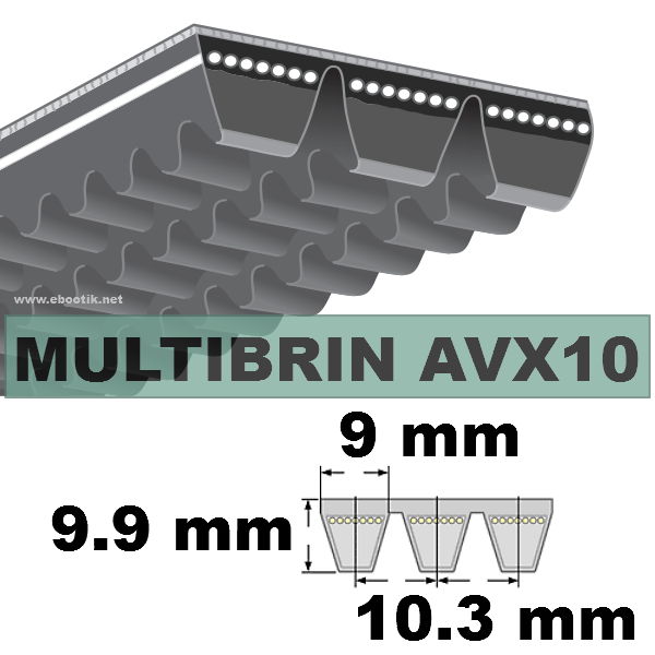 110290004-2xAVX10x1475