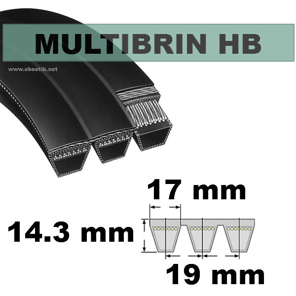 Courroie HB53x6 Brins