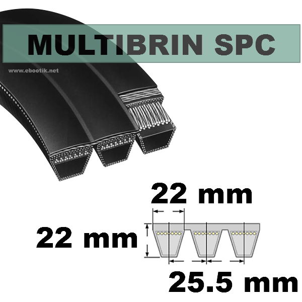 Courroie SPC2550x5 Brins