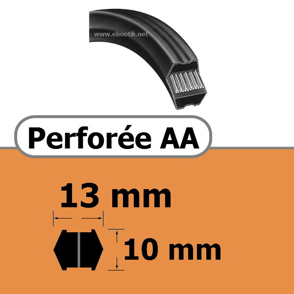 COURROIE HEXAGONALE PERFOREE AA 13 x 10