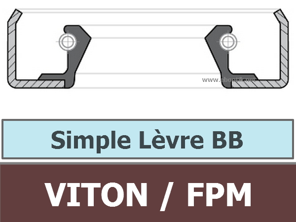 19.05X30.18X6.35 BB FPM/Viton/VITON