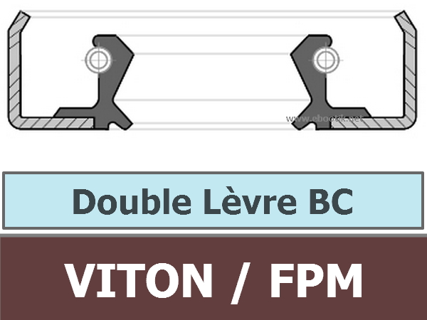 100X120X13 BC FPM/Viton/VITON