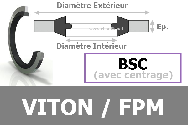 BAGUE BSC 17.28x23.80x2.03 3/8 / 823 FPM/Viton